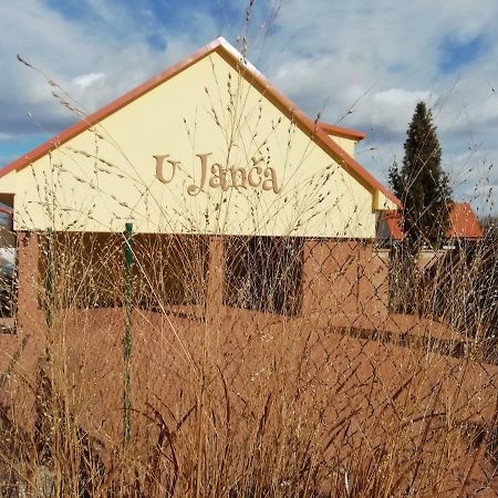 Ubytovani U Janca Леднице Екстериор снимка