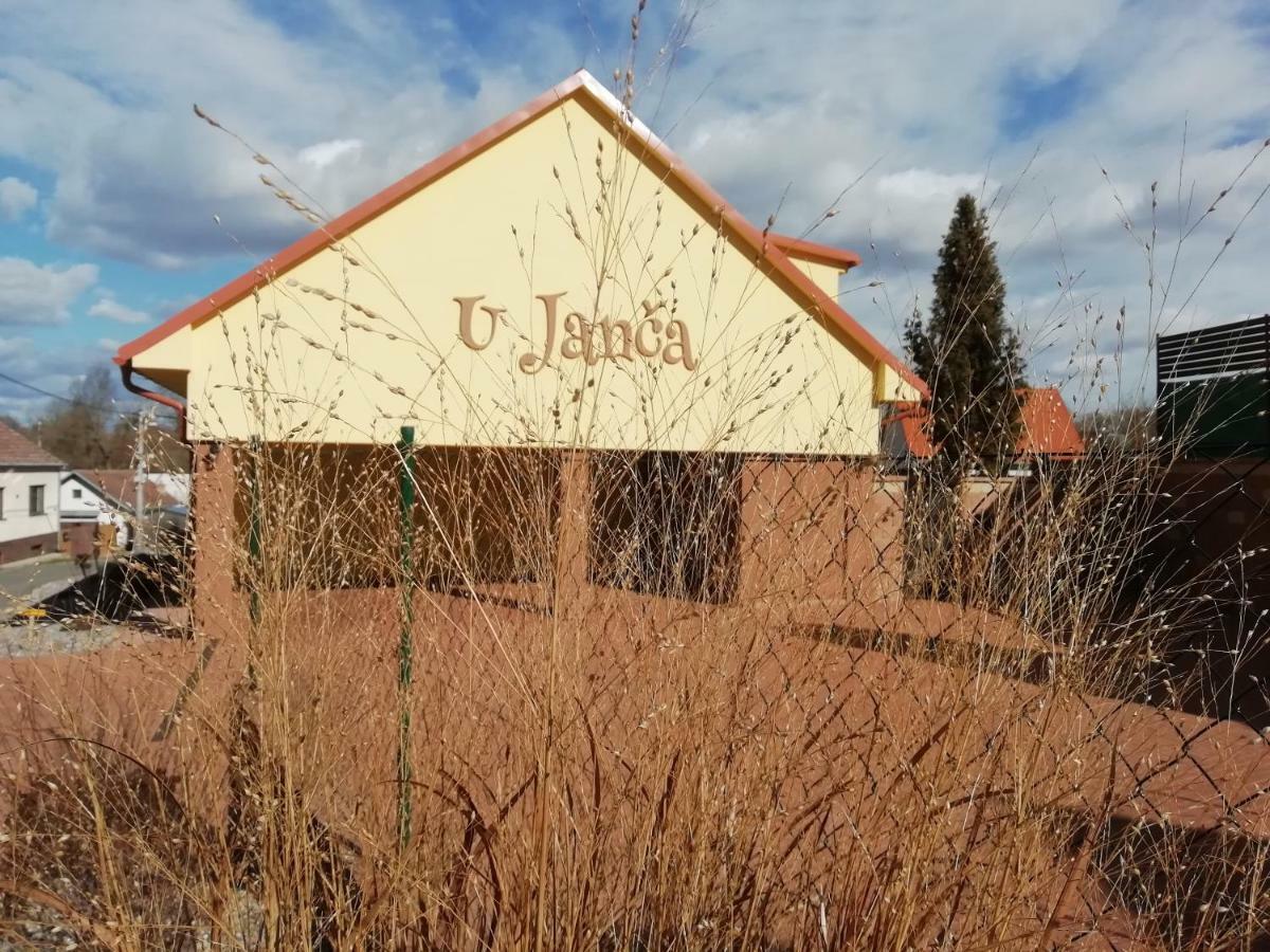 Ubytovani U Janca Леднице Екстериор снимка